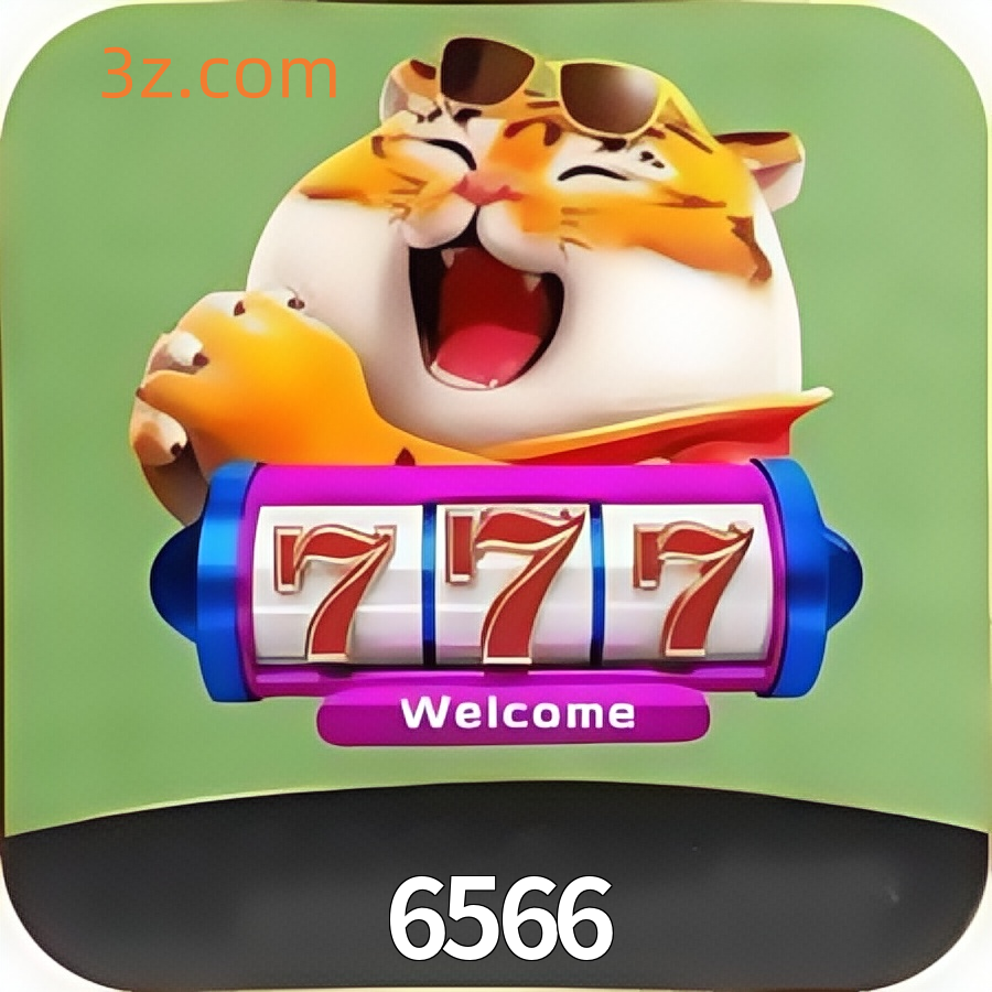 6566